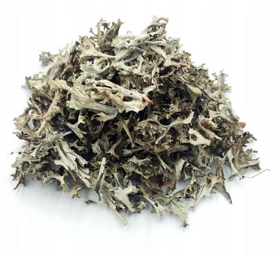Icelandic Lich 1 Kg 100% Natural