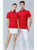 Custom Logo Short-Sleeve Polo Shirt: Summer Workwear Team T-Shirt with Embroidery Options