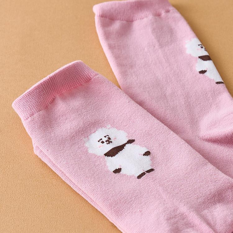 BT21 RJ Basic Daily Socks Jacquard