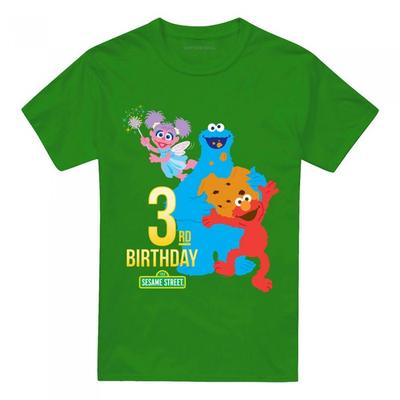 Sesame Street Unisex Adult 3rd Birthday T-Shirt