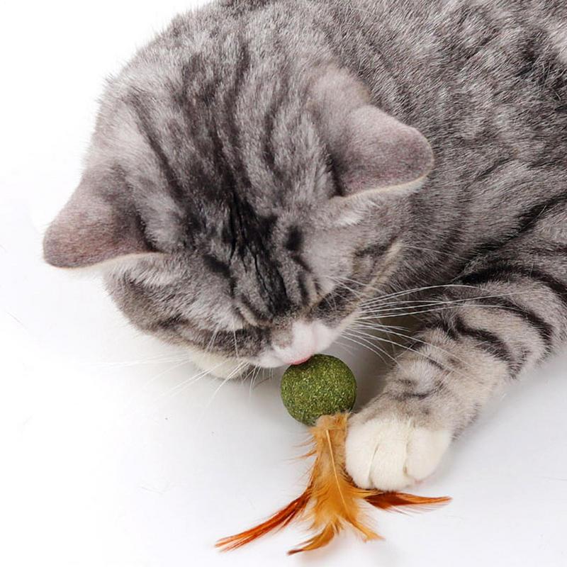 Cat Toys Catnip Kitten Catnip Feather Ball Interactive Natural Lollipop Natural Cat Kicker Feathers Design Cat Teeth Cleaning