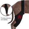 Dog Knee Rear Leg Brace with Fastening Strap Wear Resistant Ultralight Adjustable