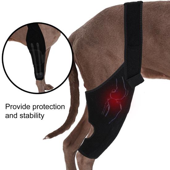 Dog Knee Rear Leg Brace with Fastening Strap Wear Resistant Ultralight Adjustable