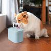 2L Capacity Pet Drinking Machine Automatic Circulation Filter Silent Automatic Water Feeder