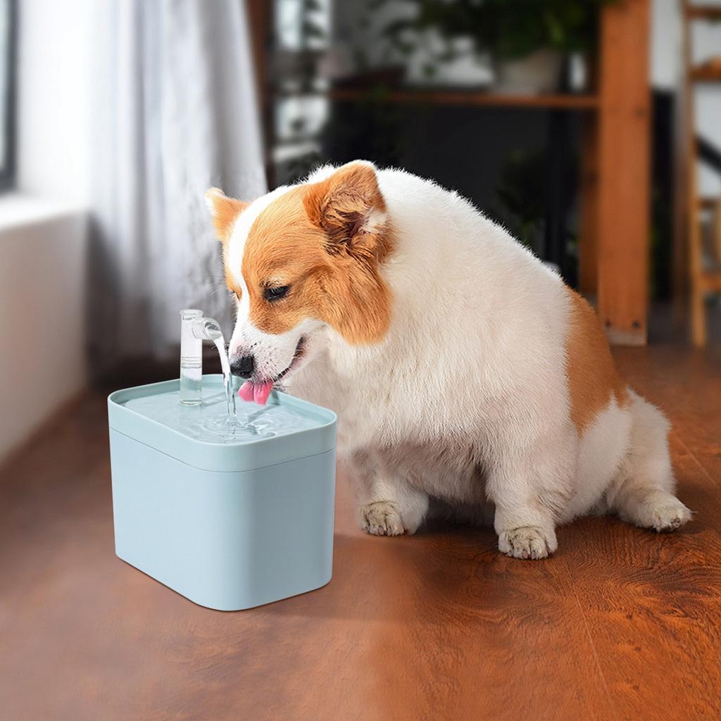 2L Capacity Pet Drinking Machine Automatic Circulation Filter Silent Automatic Water Feeder