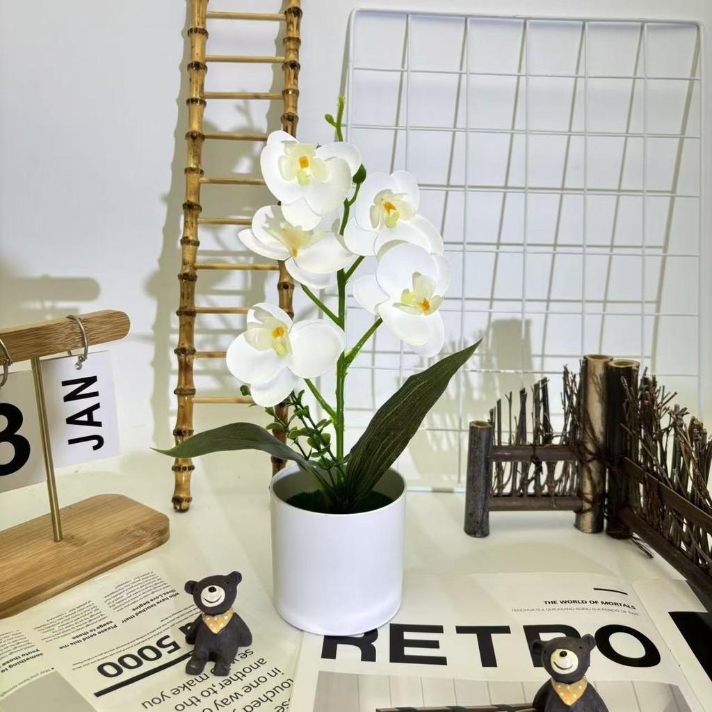 Artificial Plastic Phalaenopsis Flower Bonsai For Event Decoration Home Styling