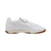 PUMA King Indoor 'White' Men's 401683-02