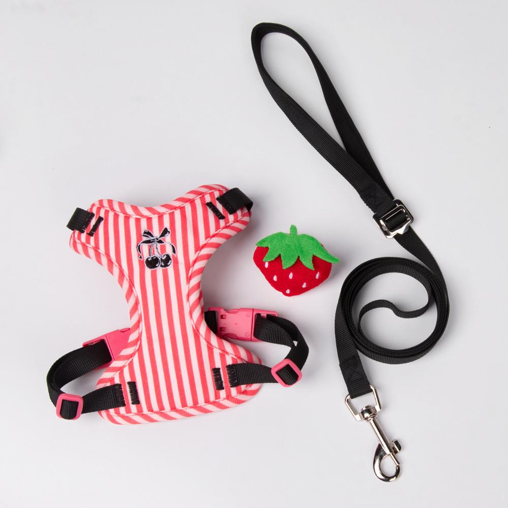 

Pet Harness Vest Lead For Small Dogs With Non Extendable Comfortable Fabric For Daily Walks XS красный