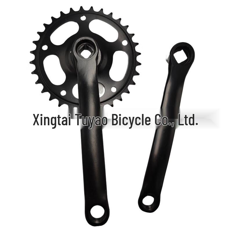 Li Shi Single Speed Folding Bike Crankset with Chainring