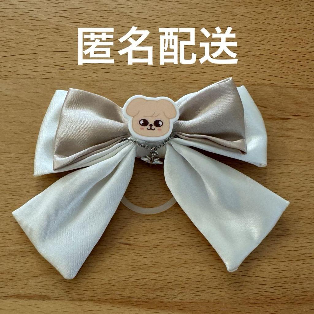 [USED] Anonymous Shipping Stray Kids Penlight Ribbon PuppyM