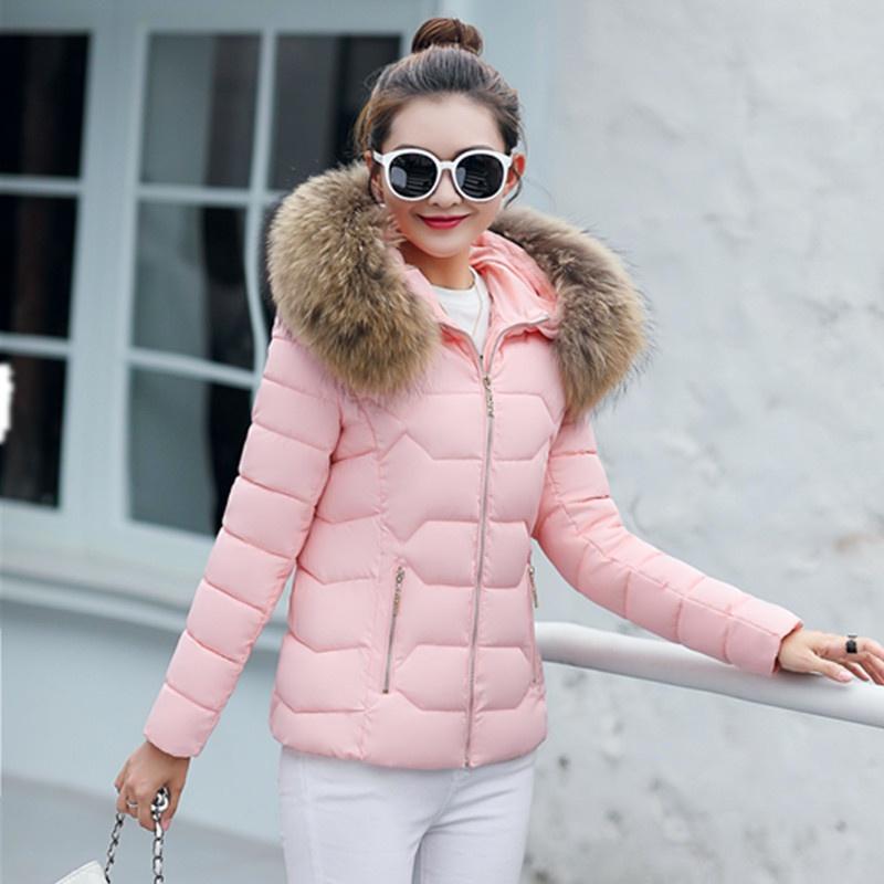 Womens Short Slim Quilted Winter Coat With Fur Hooded Collar And Stylish Design