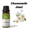 Ananta Chamomile Essential Oil 10 Ml – Floral Aroma Oil for Diffusers, Candles and Home Fragrance