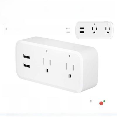 Tuya 16A Dual USB Smart WiFi Socket (US Standard)