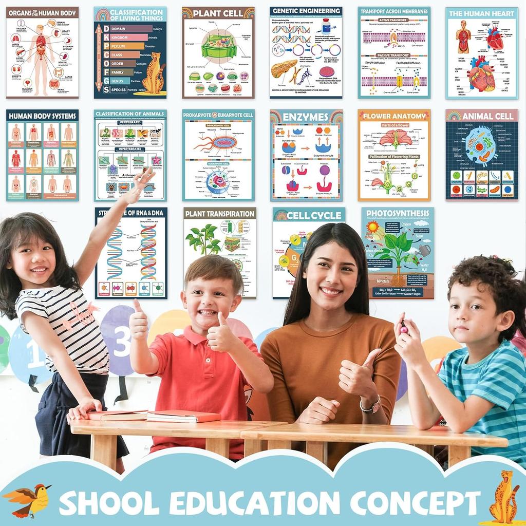 16Pcs Boho Science Posters for Classroom Middle School Supplies Biology Poster Classroom Decoration Life Science Posters Charts for Teachers High
