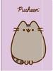 TECZKA Z GUMKĄ A4 300 g/m2 PUSHEEN 9544 a'10