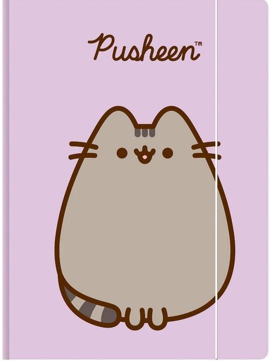 TECZKA Z GUMKĄ A4 300 g/m2 PUSHEEN 9544 a'10