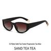 2026 Classic Small Square Frame Polarized Sunglasses - High-End European & American Street Style