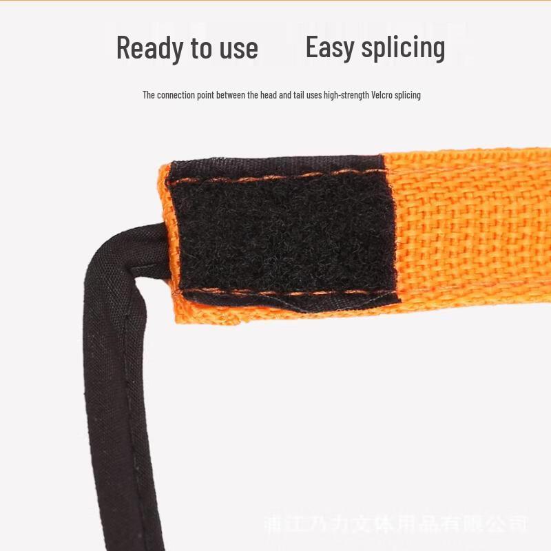 Multi-functional Agility Ladder