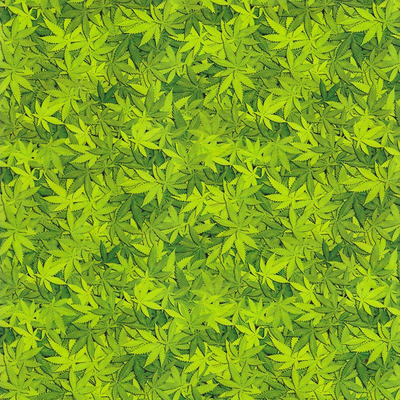 

50*100 см DIY Гидропогружаемая пленка ПВА Гидрографическая пленка Пленка для переноса воды 20