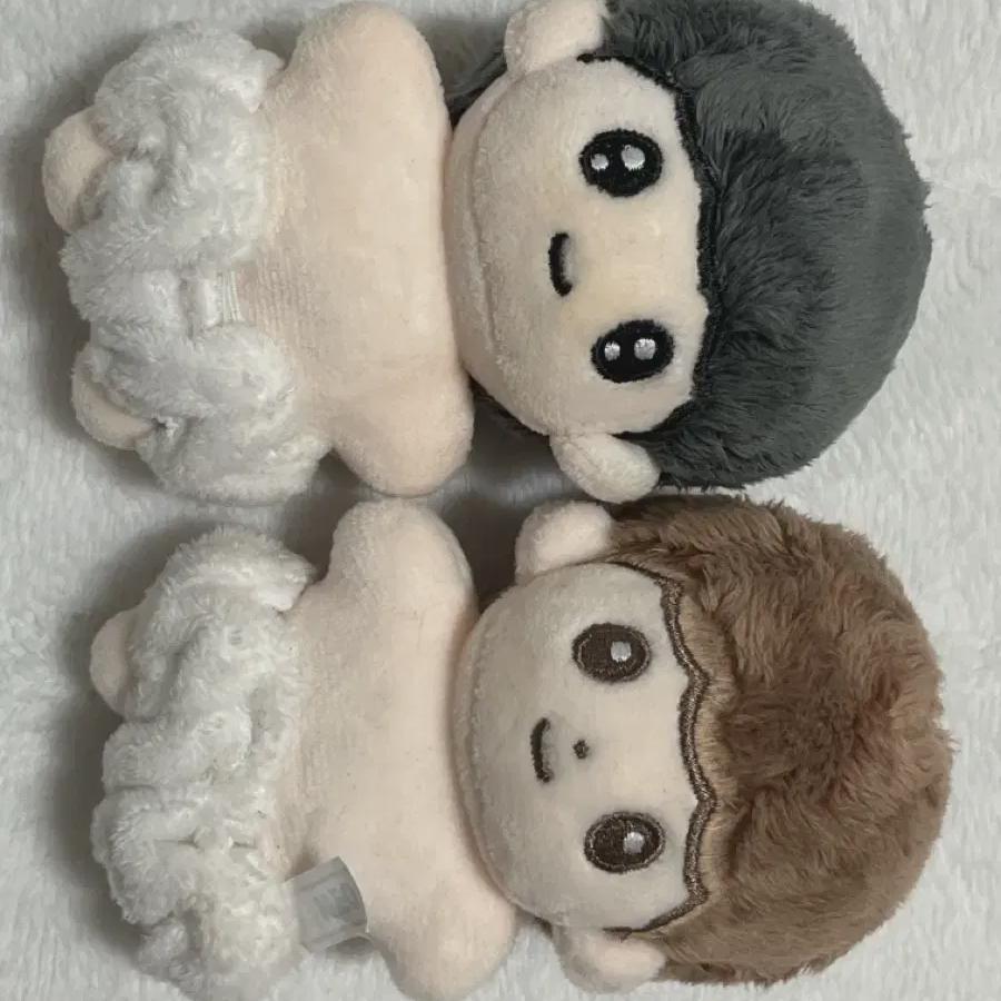 

Theboyz Young-hoon Is Currently Untouched