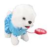 Electronic Plush Dog Interactive Puppy Singing Walking Toy with Remote Control Leash Kids Toddler Birthday Gifts