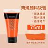 75ml/120ml Acrylic Pigment Good Water Resistance Strong Coverage Long-lasting Color for Painting Creation