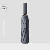 OIMG Automatic 10-Rib Folding Umbrella