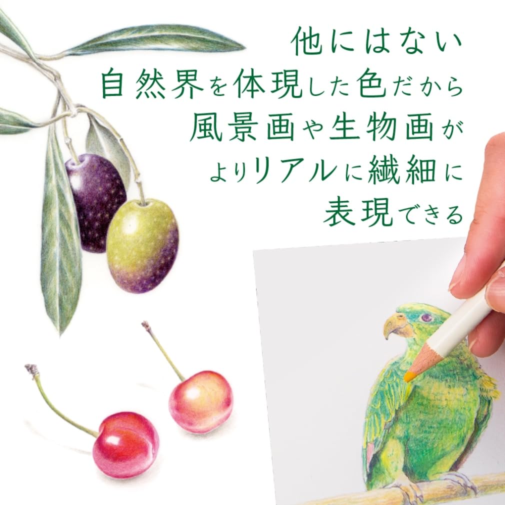 Tombo W Colored 100 Colors Color Complete Set Colors from All Natural Pencils, (Book Type), Dictionary, (100 Colors) CI-R100CBAZ