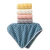 Thickened Enlarged Coral Fleece Towel - Highly Absorbent, Lint-Free, Quick-Drying, for Adults, Perfect for Home Use: Hands, Face, Hair