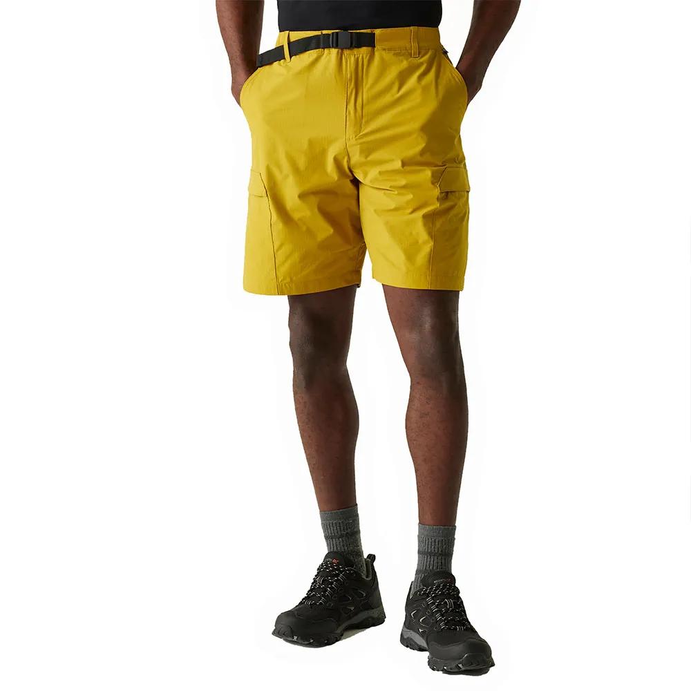 Regatta Mallen Shorts