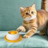 Pet Feeding Dispenser Dog Cat Puppy Lick Toy Puzzle Toys for Bored Pet Slow Feeder Supplies for Healthy Eating Food Crate