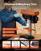 203.2mm Benchtop Drill Press, 500W Induction Motor, Tabletop Drilling Machine with 500 / 890 / 1400 / 1900 / 2500 RPM Adjustable Speed, 0-45° Tilting