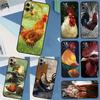 Capas para telemóveis – Para-choques para smartphones