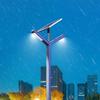 Solar Powered Outdoor Landscape Light