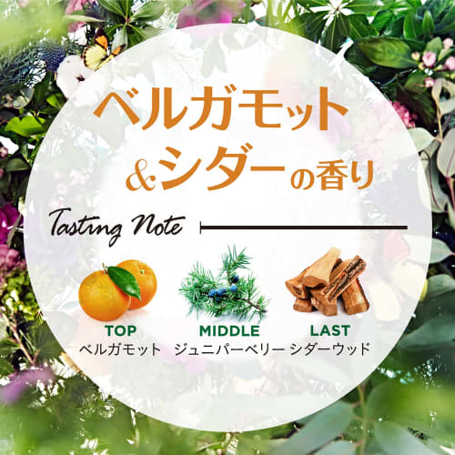 Laundrin' Botanical Diffuser, Bergamot & Cedar, 80ml