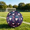 1pc Axolotl Underwater Adventure Theme Soccer Ball Football, Size 5, Lightweight PVC, Outdoor Training Soccer Ball,Gift C6586