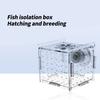 FishTank Hatchery Incubator Aquarium Small Breeding Box Clear Breeder Isolation Hatching Box