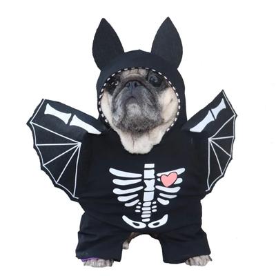 Köpek Yarasa Giysileri Cadılar Bayramı Evcil Hayvan Kostümleri Komik Evcil Köpek Cosplay Kostümleri Evcil Kedi Parti Giysileri için Komik Kıyafetler
