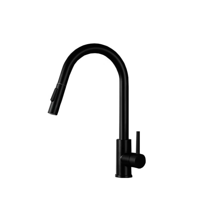 OEING Black Wall-Mounted Single Cold Pull-Out Kitchen Faucet
