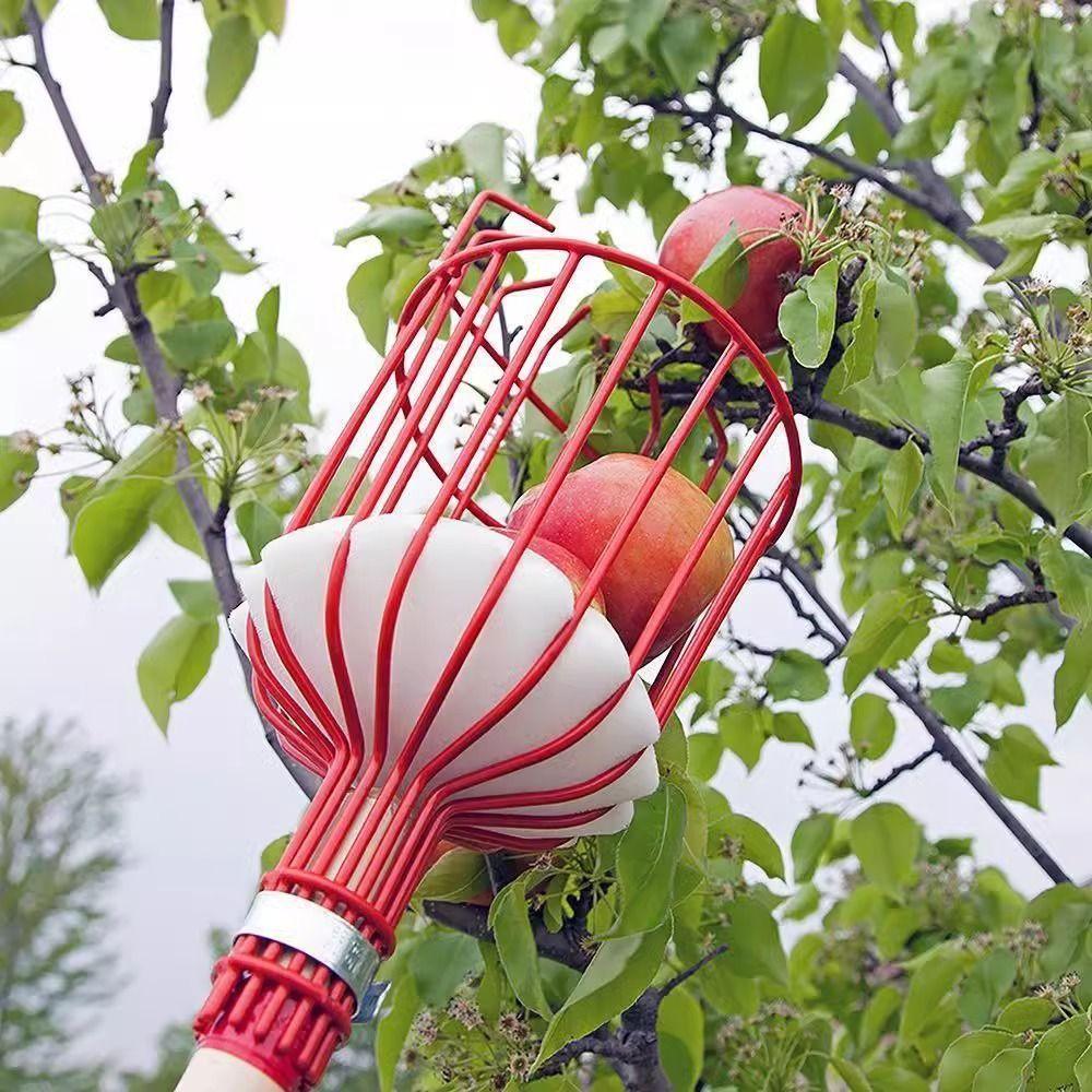 Hochgelegenes Obstpflück-Artefakt Obstpflücker Pfirsich Kaki Birne Apfel Litschi Pflück-Artefakt