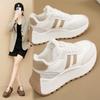 3 Women's Shoes 02 Autumn and Winter New Velvet Lightweight Sports Shoes Women's Retro Heightening Platform Dad Shoes