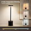 LED ambient desk lamp, USB charging, touch controlled dimmable indoor night light, suitable for home decoration bedside rooms
