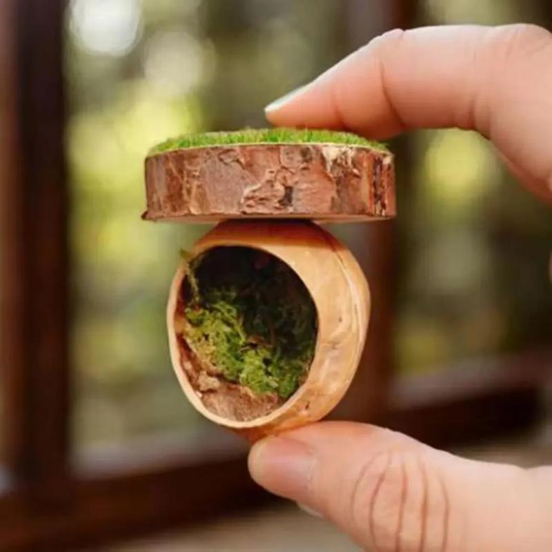 Mini Magnetic Spider Hide Cave Handmade Jumping Spider Enclosure Natural Habitat Decoration for Spider Lovers