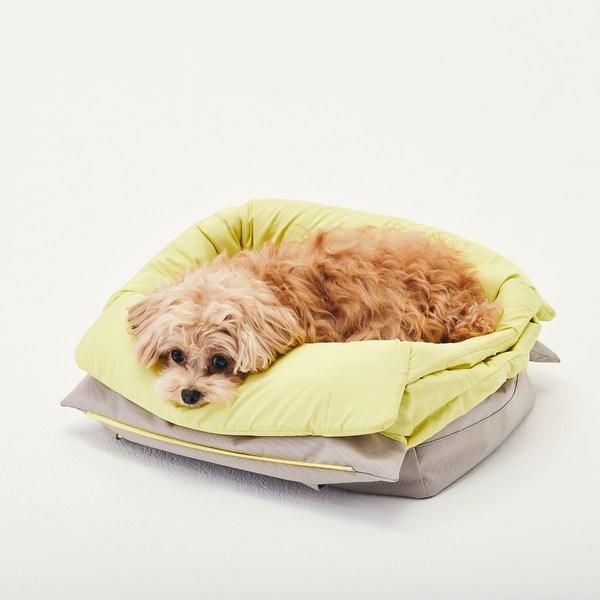 Arre pet humming hug Tasche, Koreanisches Haustiershampoo