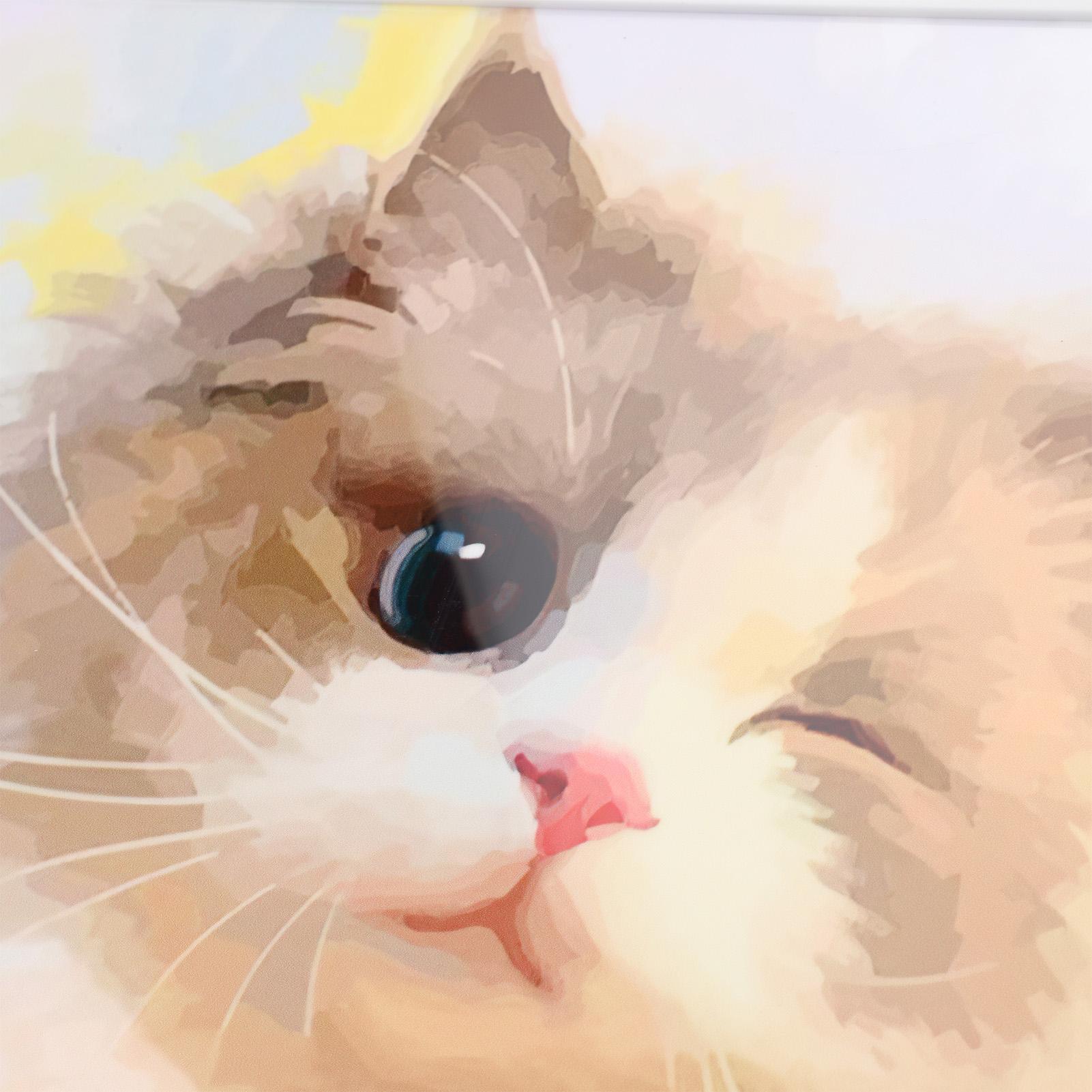 Bathroom Wall Storage Box Large Capacity Multifunction Space Saving Foldable Small Wall Mounted Bath Multicolour Cat