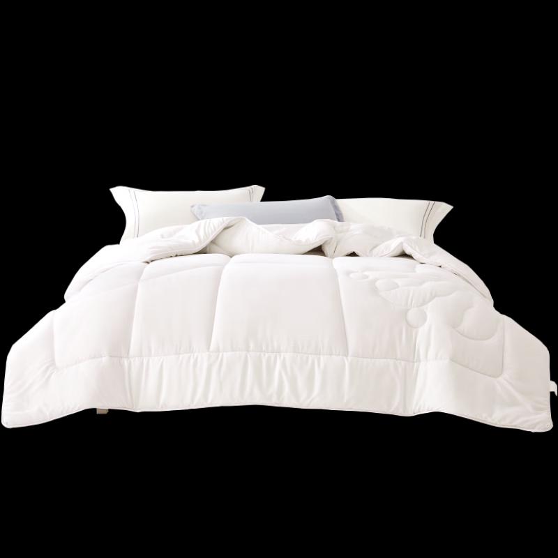 BELLEIS Soybean Antibacterial All-Season Quilt