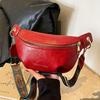 Niche Design Shoulder Bag, Versatile New Women's Crossbody/Chest Bag, Versatile and Lightweight Waist Bag for commuting, leisure, and travel.