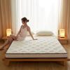 WTEMPO Lamb Wool School Dormitory Bed Mattress Pad Foldable High Quality Soft Mattress Winter Thickened Plush Bedroom Bed Sheet Tatami Plush Pad