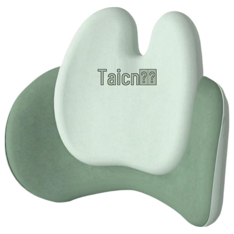Taichang TC-Y1 Multi-Function Kneading & Heating Massager