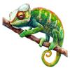 Chameleon Tropical Reptile Car Sticker Vinyl Decal Waterproof Rear Window Motorcycle Camper Bumper Truck Laptop Decoration Y07